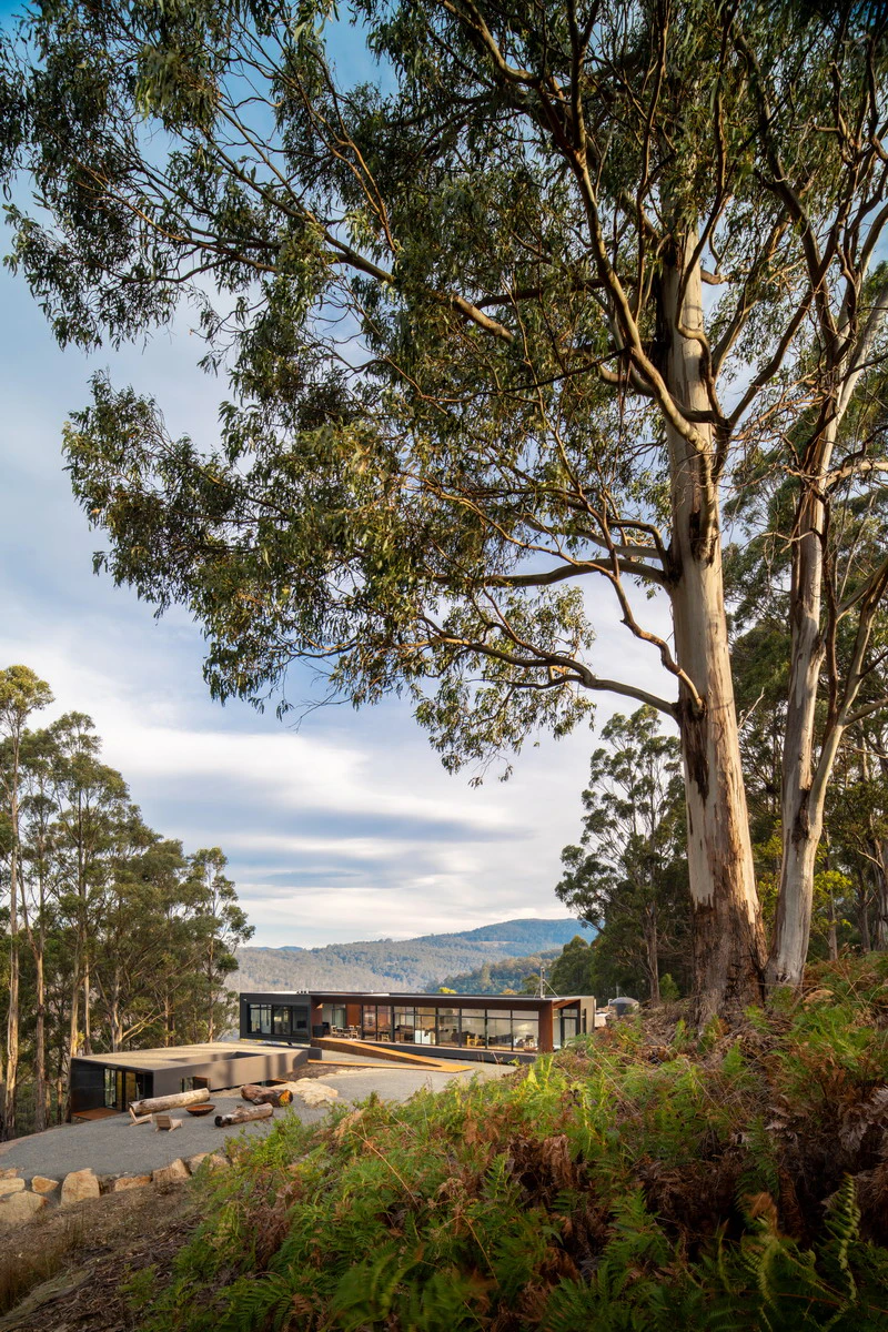 Site Environment